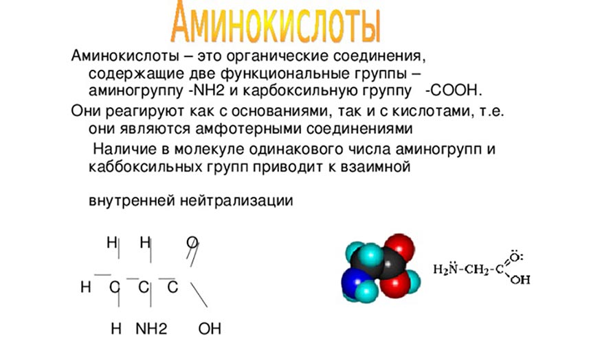 Какие группы аминокислот входят в состав белков? 