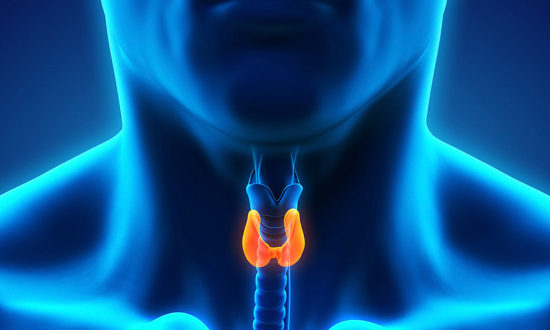 Когда нужно проходить КТ щитовидной железы, какие патологии может обнаружить этот диагностический метод 