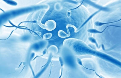 Количество не равно качеству: сколько сперматозоидов в сперме должно быть? 
