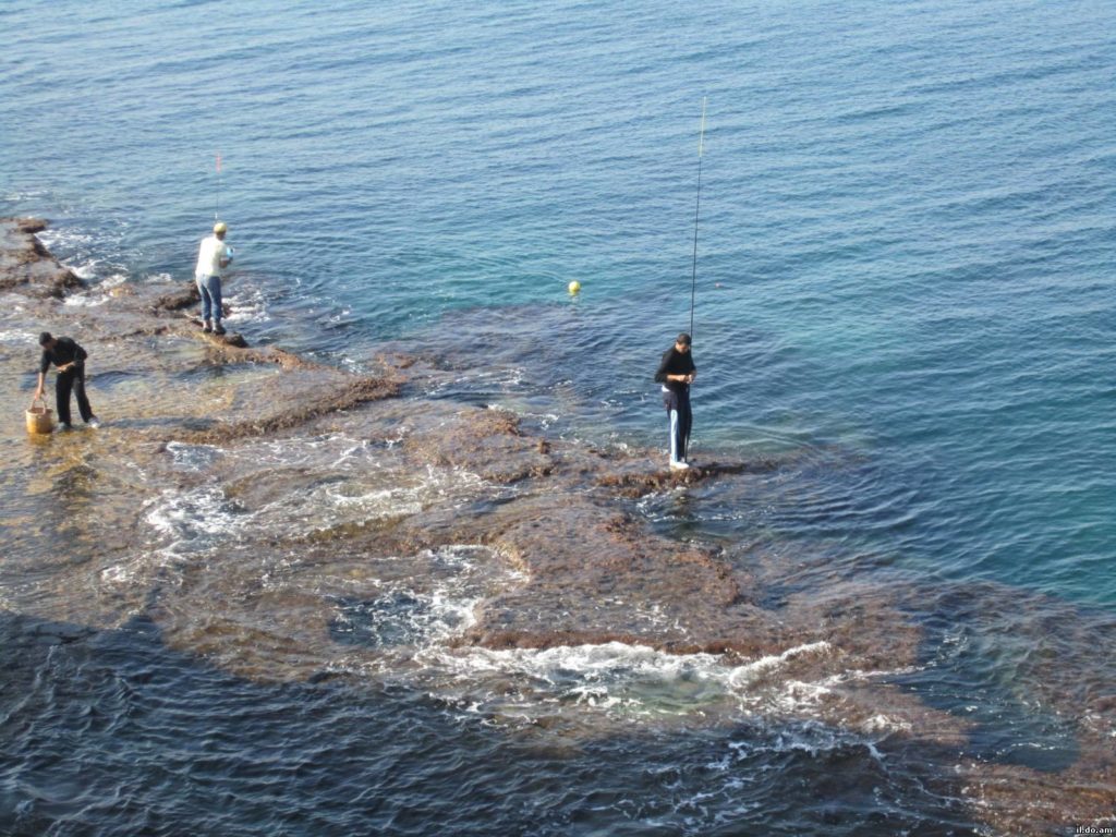 Наживка для ловли рыбы в черном море 