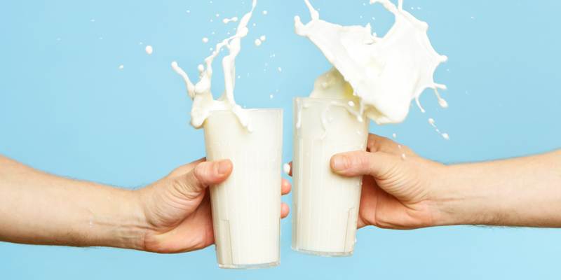 Нормализованное молоко: что это такое и как его делают? 