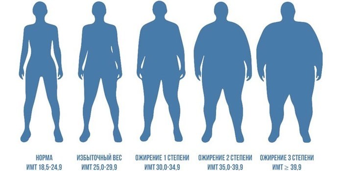 Ожирение 2 степени – в одном шаге от патологии 