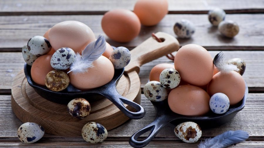 Перепелиные яйца при сахарном диабете, лечение и рецепты 