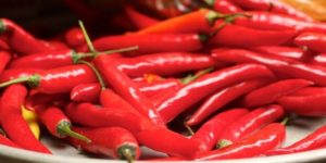 Перец чили: вред и польза красного острого продукта 