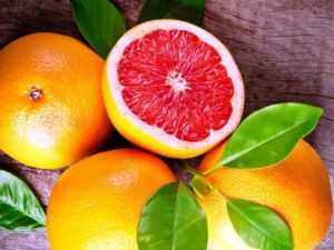 Полезные свойства грейпфрута при сахарном диабете 