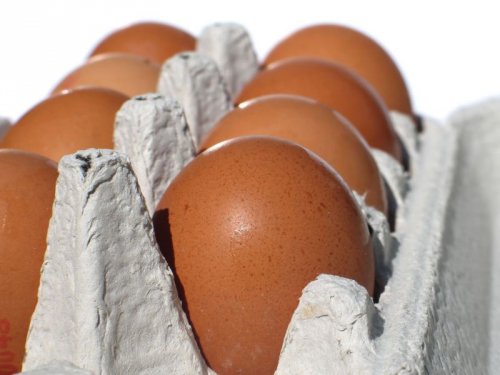 Полезны ли куриные яйца, в каком виде лучше есть 