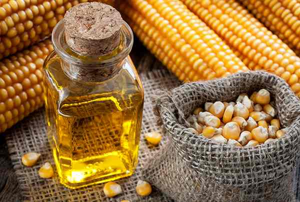 Польза и вред кукурузного масла для организма 