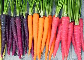 Рецепты с морковью для похудения 