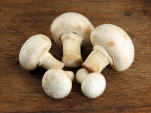 Шампиньоны: польза и вред. Кому грибы принесут значительную и действительно необходимую полезность, а кому проблемы со здоровьем? 