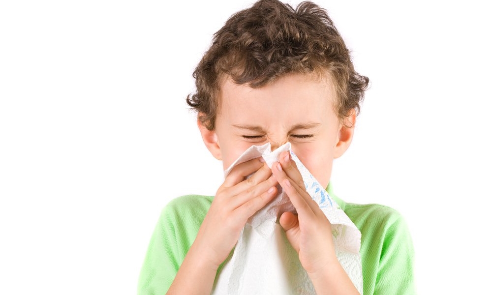 Если у ребёнка на пыль аллергия 