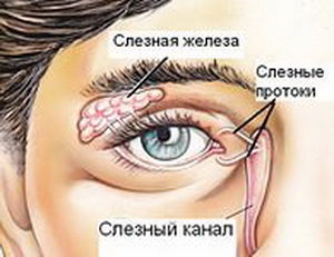 Симптомы и лечение бактериального конъюнктивита у взрослых и детей 