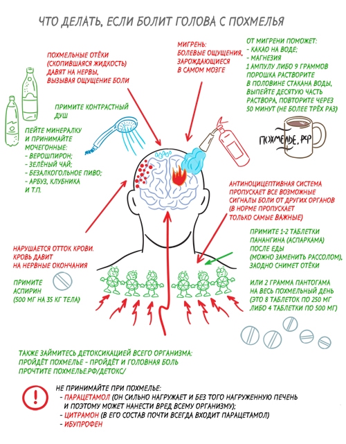 Голова болит с похмелья? Мы подскажем, что делать. 