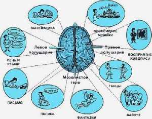 Инсульт геморрагический правая сторона: последствия 7142 0 06.03.2016 