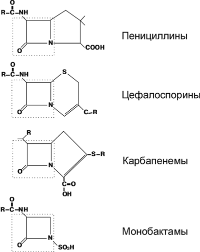 Аллергия на антибиотики: яд независимо от дозы 