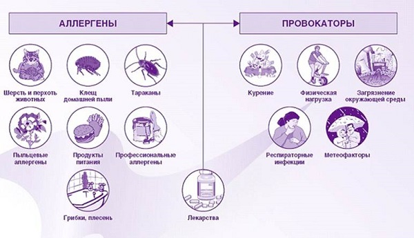 Аллергия на коровий белок у детей 