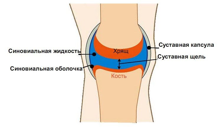 Как выкачивают жидкость из колена 