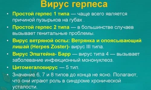 Герпес локализованный на гpyди: как он выглядит и способы его лечения 