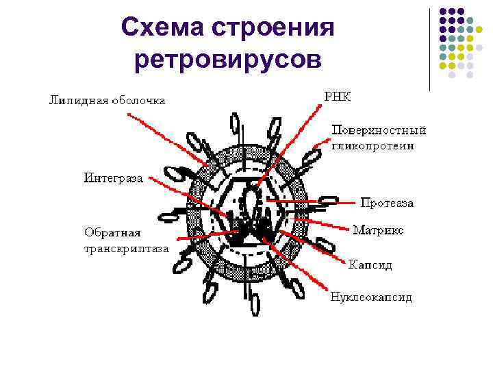 Как проявляется и лечится гepпeс на ноге? 