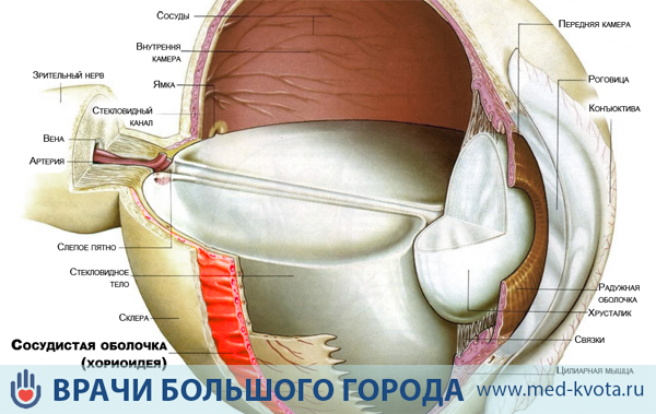 Лечение меланомы хориоидеи глаза 