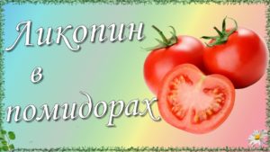 Что нельзя есть при миоме матки 