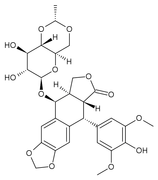 Этопозид (Etoposide) 