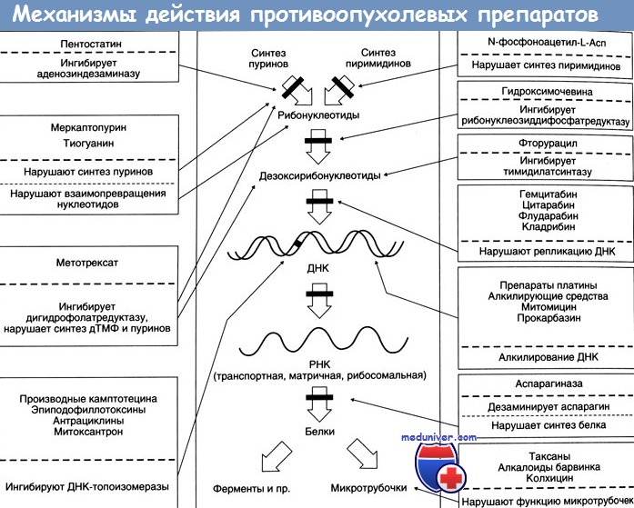 Хорионкарцинома 