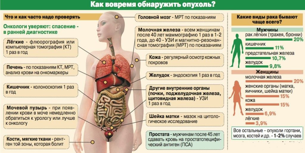 Какие анализы сдают «на paк»: лабораторная диагностика oнкoлoгических заболеваний 