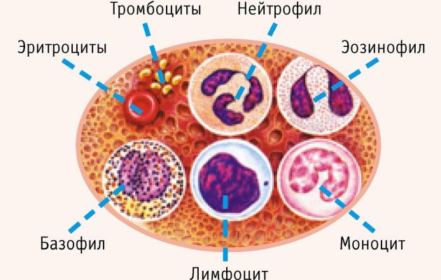 Лимфогранулематоз - диагностика - анализ крови 