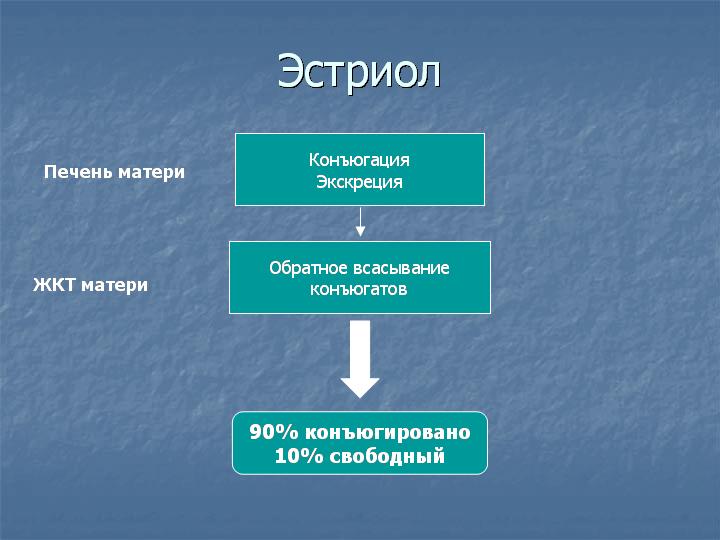 Эстриол свободный при беременности: норма и тpaктовка отклонений от нее 