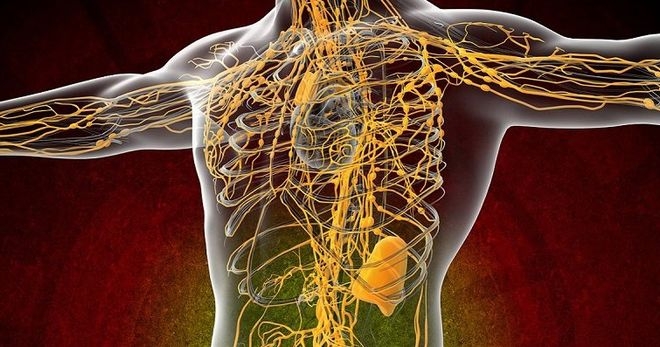 10 простых способов, как быстро и правильно почистить лимфу в домашних условиях 