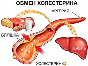 Алкоголь и холестерин в крови 