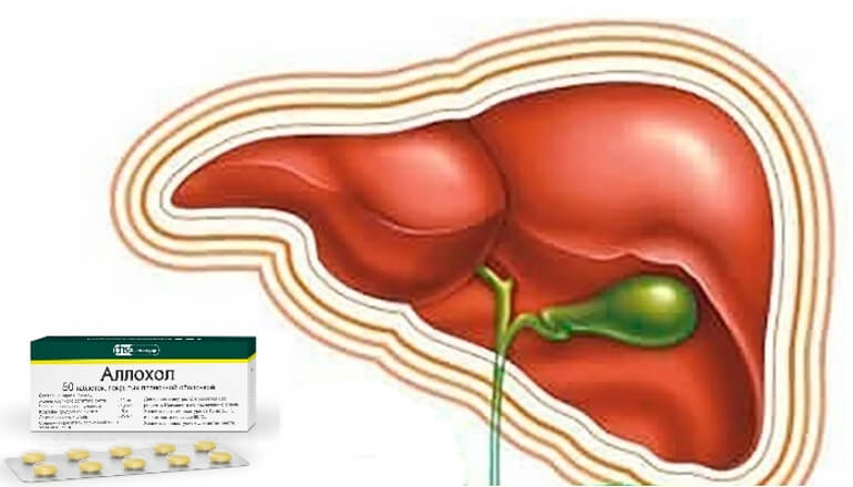 Аллохол для печени: способы применения 