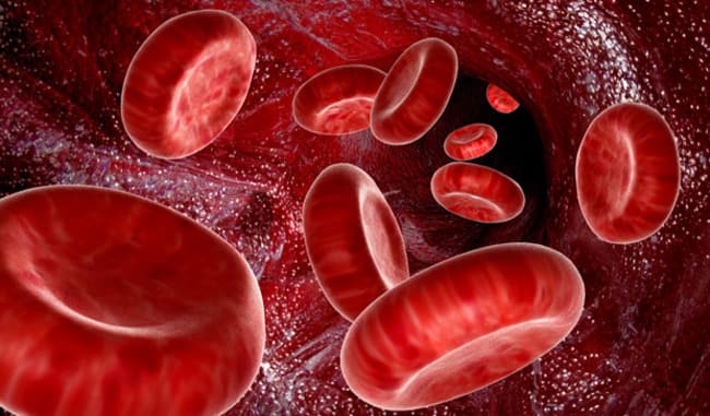 Как быстро почистить кровь от токсинов народными средствами 