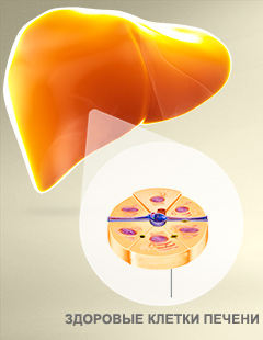 Как очистить печень быстро и эффективно 
