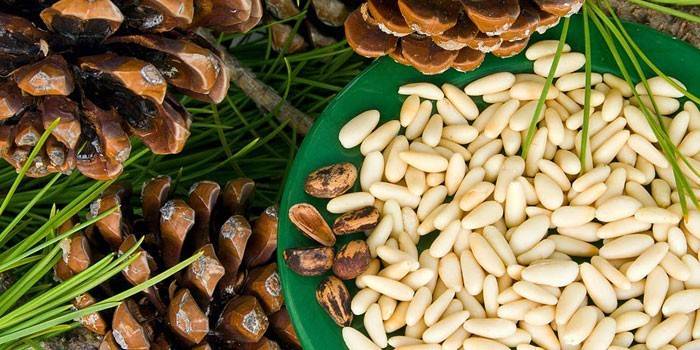 Кедровые орехи — польза и вред 