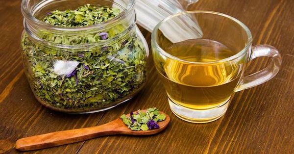 Монастырский антипаразитарный чай: состав, пропорции трав, отзывы врачей, противопоказания. Как правильно заваривать и пить монастырский антипаразитарный чай? 