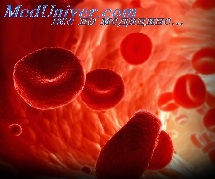 Нормы содержания железа в крови и возможные причины железодефицитной анемии 