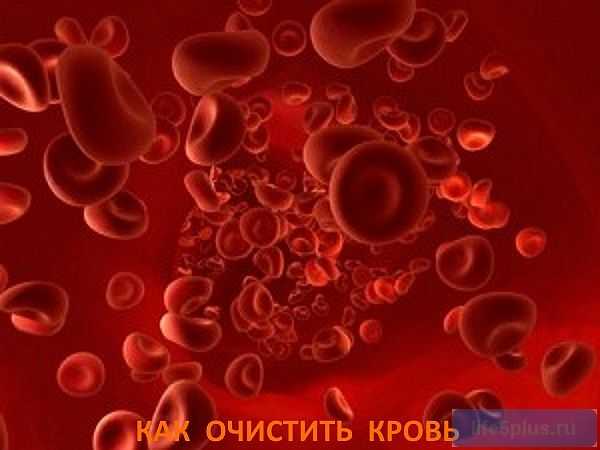 Очистка крови: как проводится, каковы ее результаты? 