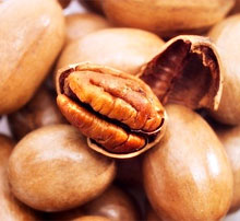 Орех пекан – польза и вред заморского орешка 