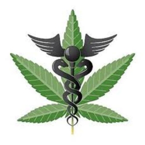 Польза марихуаны, ее медицинское использование 