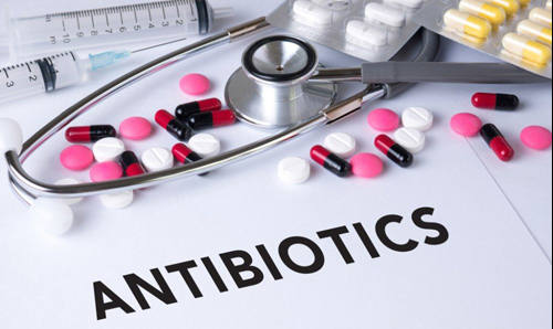 Принципы приёма пробиотиков при употреблении антибиотиков для взрослых: как защитить кишечник? 