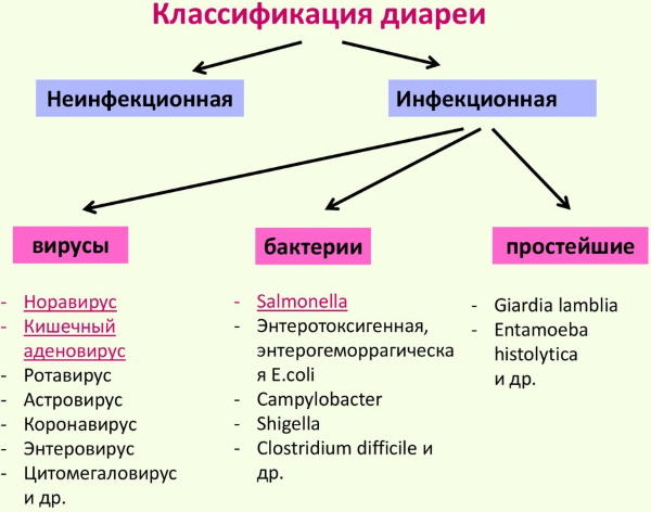 Список эффективных таблеток от поноса по группам 