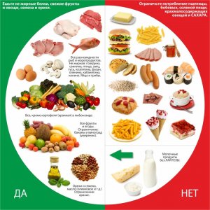 Таблица правильного питания на каждый день, принципы и особенности его организации 