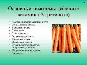 Витамин A — роль в организме, содержание в продуктах, симптомы дефицита 