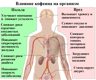 Влияние кофеина на организм человека – польза и вред 