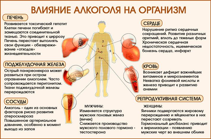 Восстановление печени после алкоголя: таблетки и лекарства 