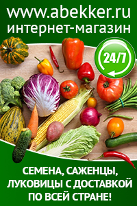 Жук Жужелица садовая – полезное насекомое в саду 