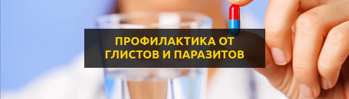 Что нужно пропить для профилактики от паразитов 