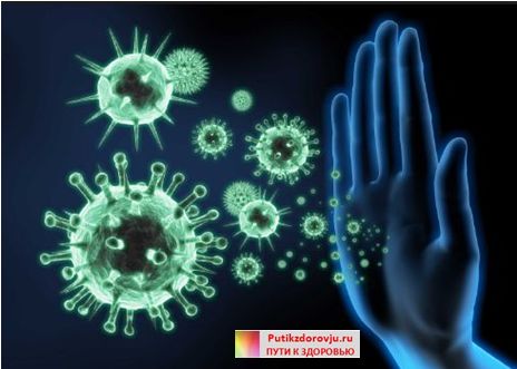 Как быстро поднять иммунитет взрослому лекарствами и народными средствами 