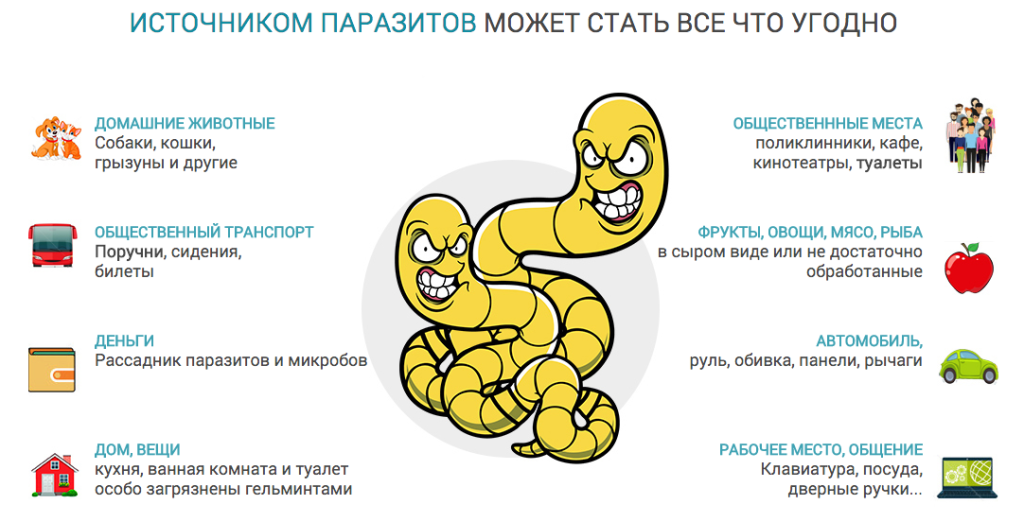 Как паразитологи оценивают БАД Тройчатка Эвалар 